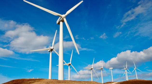 Energia eólica transforma o vento em energia útil: veja como funciona