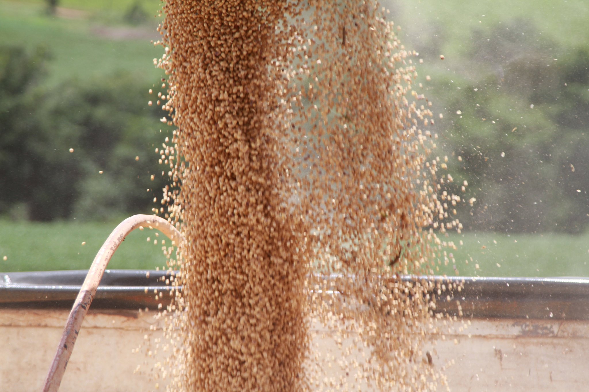 Tony Oliveira/Sistema CNA