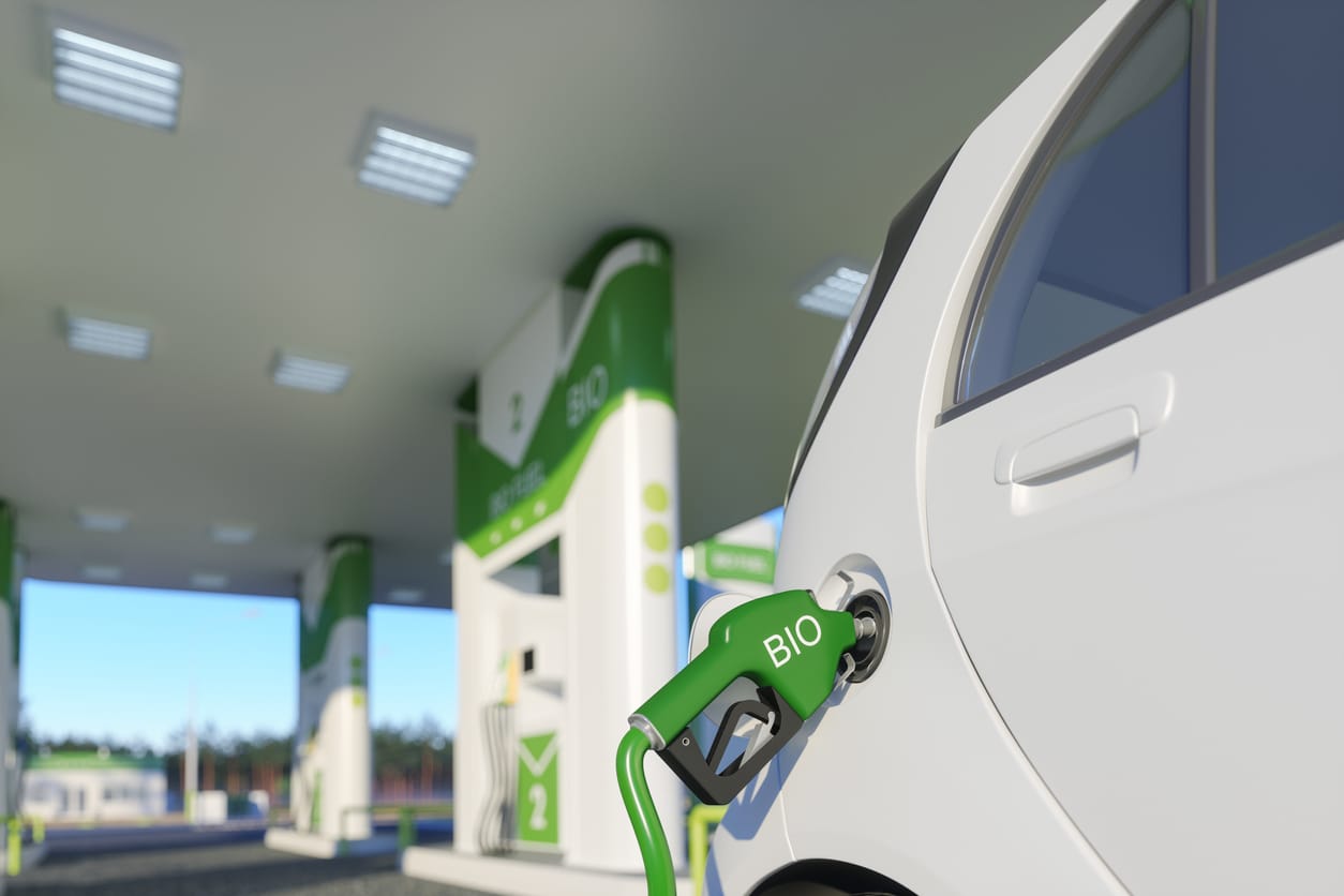 Créditos: Onurdongel l iStock