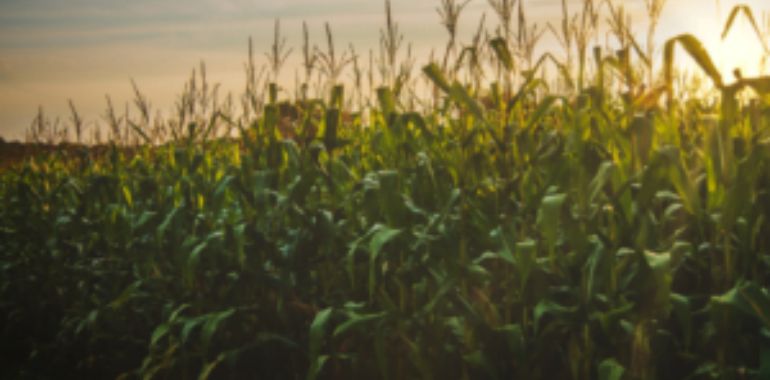 imagem-slider-footer-1